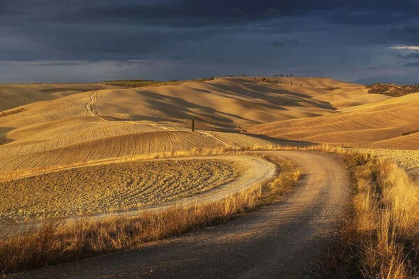 A winding road and rolling hills during a brief moment of light at sunset before the storm rolled in. Taken near Montalcino, Val d Orcia, Tuscany, Italy