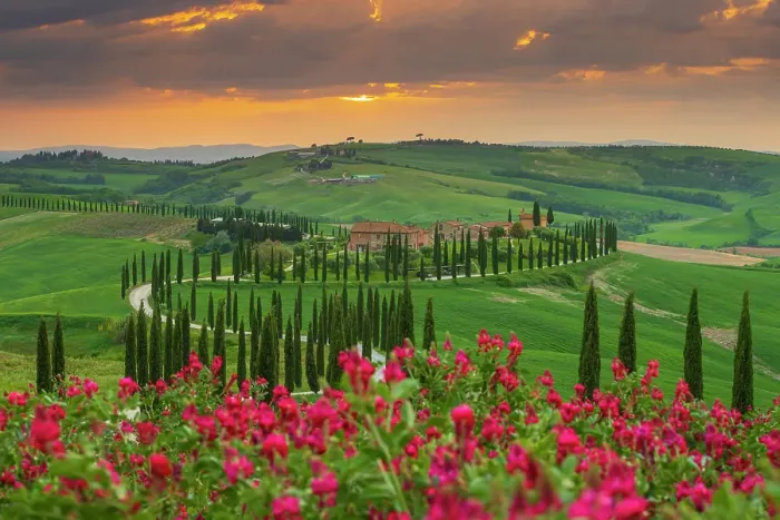 Framed Print : Winding road on the rolling hills of Tuscany near Asciano in Siena district, Italy Framed Print : Winding road on the rolling hills of Tuscany near Asciano in Siena district, Italy