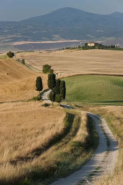Winding road, Val d Orcia, Tuscany, Italy