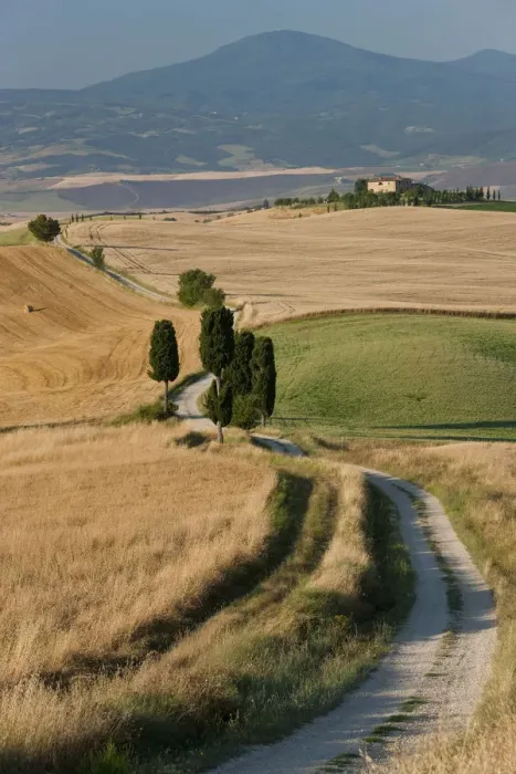 Framed Print : Winding road, Val d Orcia, Tuscany, Italy Framed Print : Winding road, Val d Orcia, Tuscany, Italy