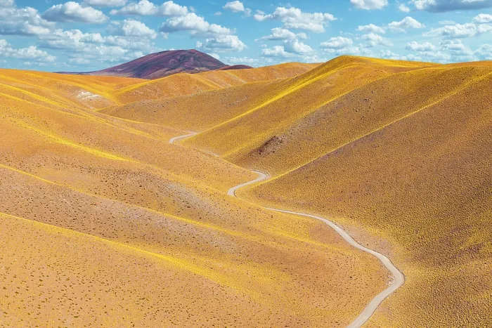Framed Print : Winding road through yellow hills, Vega de los Colorados, Puna, Catamarca, Argentina Framed Print : Winding road through yellow hills, Vega de los Colorados, Puna, Catamarca, Argentina