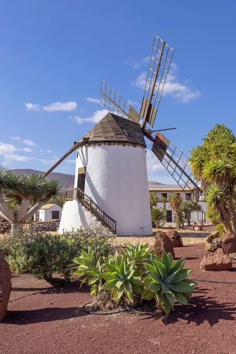 Framed Print : Windmill on cactus farm, Antigua, Fuerteventura, Canary Islands, Spain Framed Print : Windmill on cactus farm, Antigua, Fuerteventura, Canary Islands, Spain