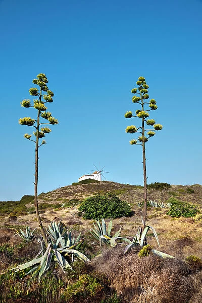 Windmill, Carrapateira, Costa Vicentina, Algarve, Portugal