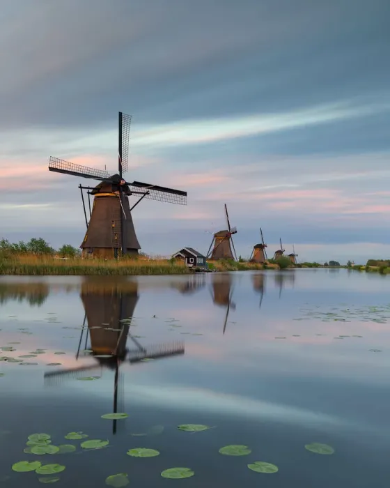 Framed Print : Windmill, Kinderdijk, Molenlanden, South Holland, Netherlands Framed Print : Windmill, Kinderdijk, Molenlanden, South Holland, Netherlands