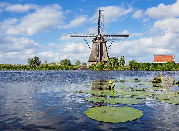 Windmill in Kinderdijk, UNESCO World Heritage Site, South Holland, The Netherlands