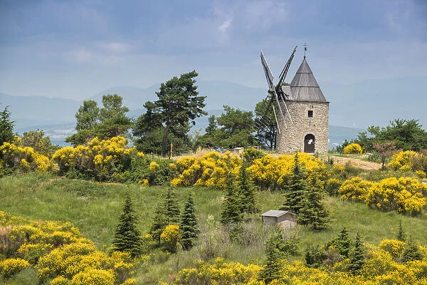 Windmill of Montfuron, Provence, Provence-Alpes-Cote d'Azur, Alpes-de-Haute-Provence, Southern France, France, Europe