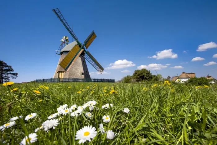 Framed Print : Windmill, Nebel, Amrum Island, Northern Frisia, Schleswig-Holstein, Germany