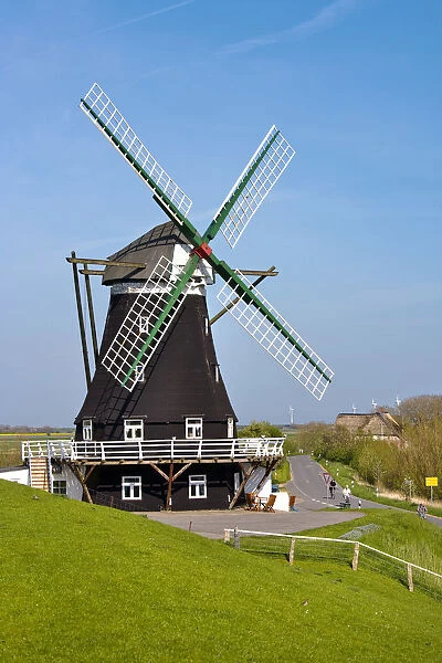 Windmill, Nordermuhle, Pellworm Island, Northern Frisia, Schleswig Holstein, Germany