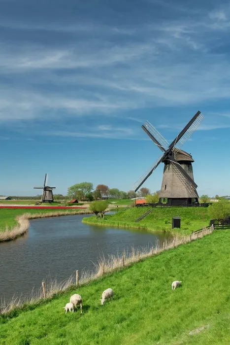 Framed Print : Windmills along Molendijk, Schermerhorn, Holland, Netherlands Framed Print : Windmills along Molendijk, Schermerhorn, Holland, Netherlands