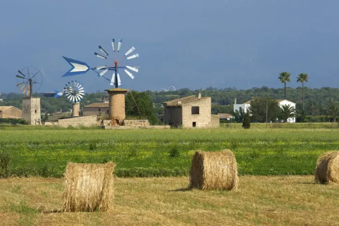 Framed Print : Windmills near Sant Jordi, Majorca, Balearic Islands, Spain
