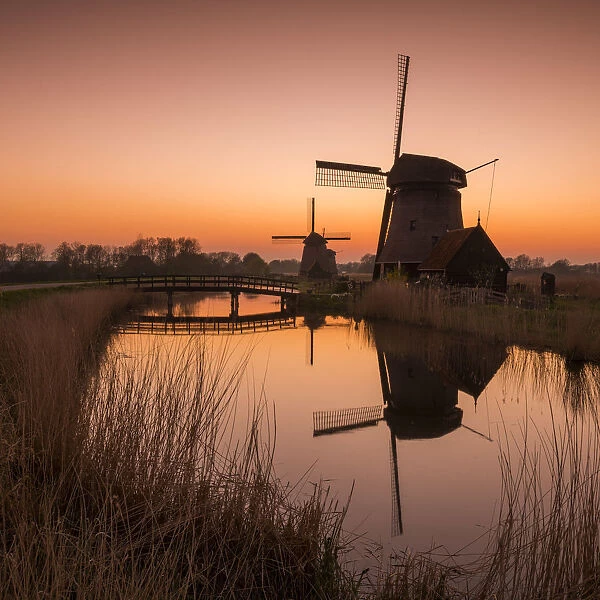 Windmills at Sunrise, Oterleek, Holland, Netherlands