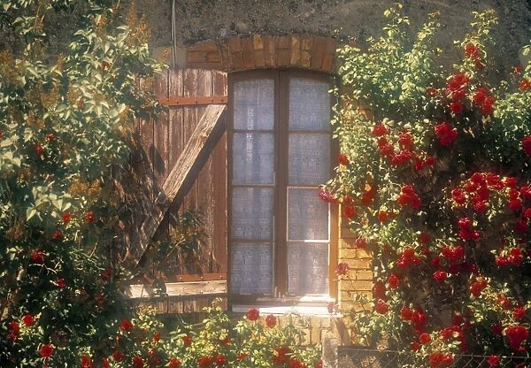 Window, Apt, Provence, France