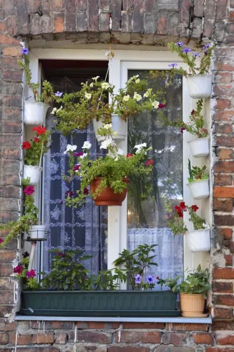 Framed Print : A window with flowers among the remaining buildings of the fierce fighting between Framed Print : A window with flowers among the remaining buildings of the fierce fighting between