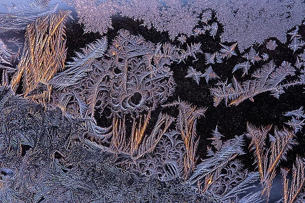WIndow frost pattern at sunset, Winnipeg, Manitoba, Canada