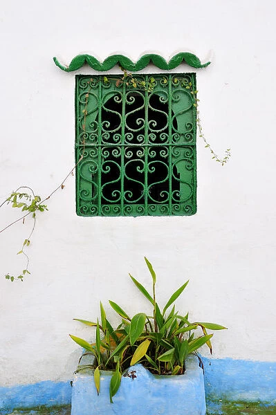 Window of the Tanger medina. Morocco