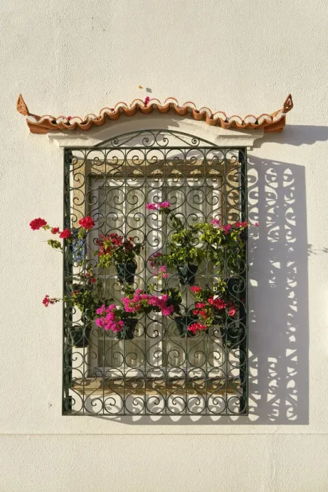 Framed Print : Windows of a traditional house. Alcochete, Portugal