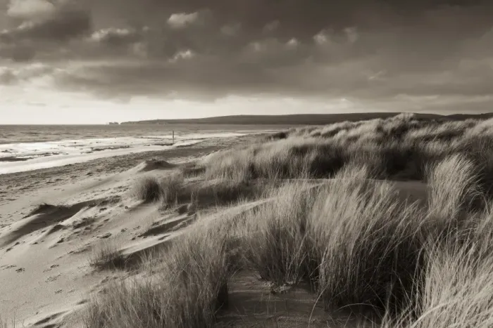 Framed Print : Windswept sand dunes on the beach at Studland Bay, with views towards Old Harry Rocks Framed Print : Windswept sand dunes on the beach at Studland Bay, with views towards Old Harry Rocks