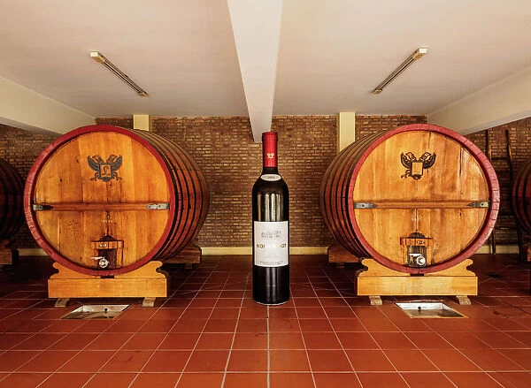 Wine Barrels, Bodegas Lopez, Maipu, Mendoza Province, Argentina