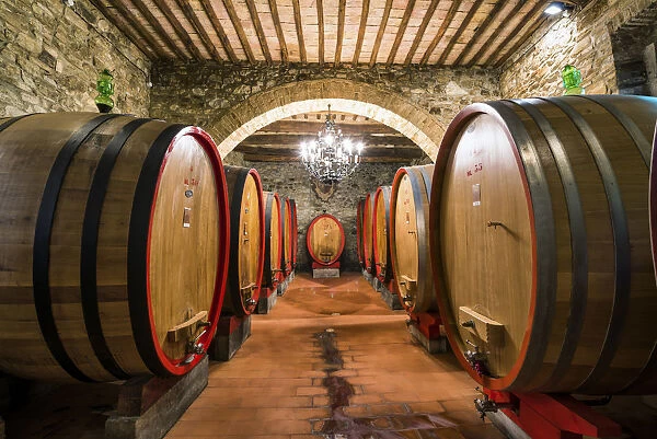 Wine Barrels at the Costanti Winery, Montalcino, Tuscany, Italy