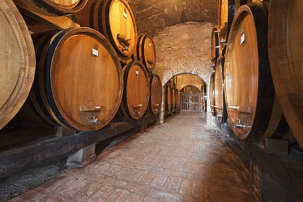 Wine cellar, Montepulciano, Tuscany, Italy