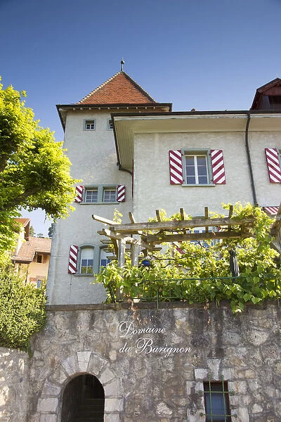 Winery and Vineyards above Vevey, Lake Geneva, Vaud, Switzerland