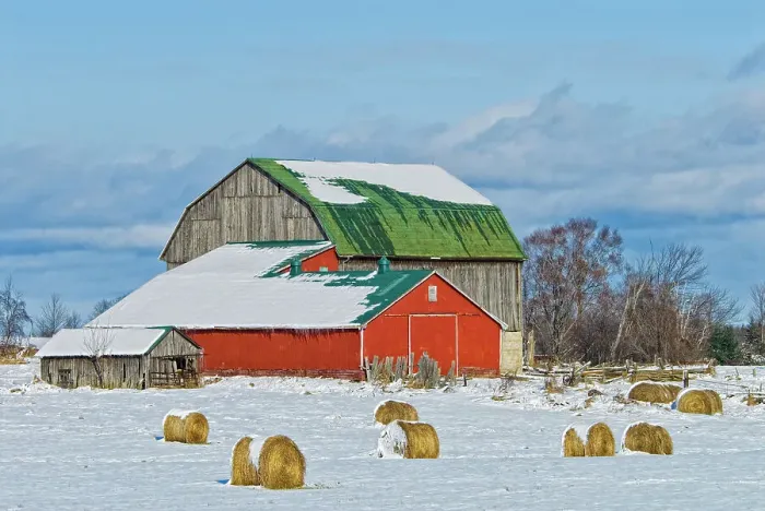 Framed Print : Winter farm scenic with hay bails inthe field, Cookstown, Ontario, Canada Framed Print : Winter farm scenic with hay bails inthe field, Cookstown, Ontario, Canada