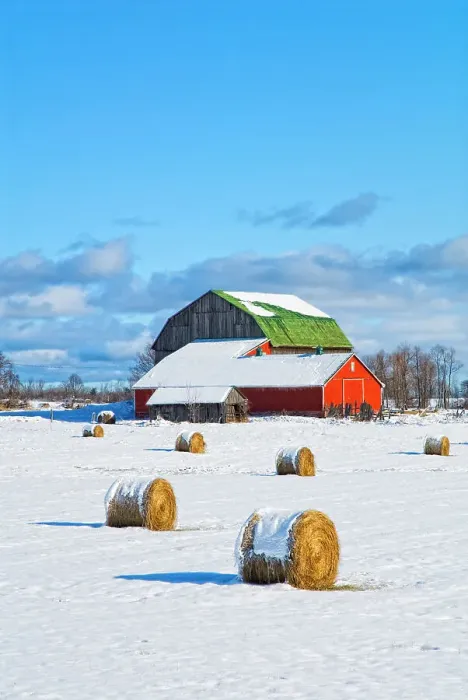 Framed Print : Winter farm scenic with hay bails inthe field, Cookstown, Ontario, Canada Framed Print : Winter farm scenic with hay bails inthe field, Cookstown, Ontario, Canada