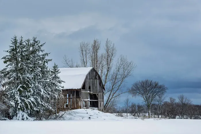 Framed Print : Winter farm scenic, Thornton, Ontario, Canada Framed Print : Winter farm scenic, Thornton, Ontario, Canada