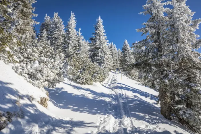 Framed Print : Winter hiking trail on the Tegelberg near Schwangau, Allgaeu, Bavaria, Germany Framed Print : Winter hiking trail on the Tegelberg near Schwangau, Allgaeu, Bavaria, Germany