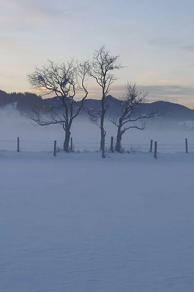 Winter landscape, Bavaria, germany