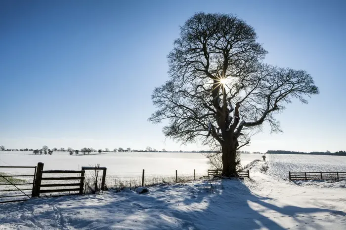 Framed Print : Winter Landscape, Cotswolds, Gloucestershire, England Framed Print : Winter Landscape, Cotswolds, Gloucestershire, England