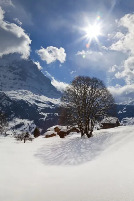 Framed Print : Winter landscape, Grindelwald, Jungfrau region, Bernese Oberland, Swiss Alps, Switzerland Framed Print : Winter landscape, Grindelwald, Jungfrau region, Bernese Oberland, Swiss Alps, Switzerland