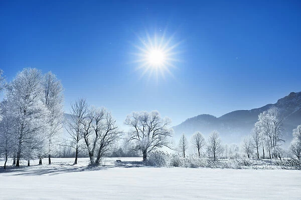 Winter landscape with hoar frost - Germany, Bavaria, Upper Bavaria