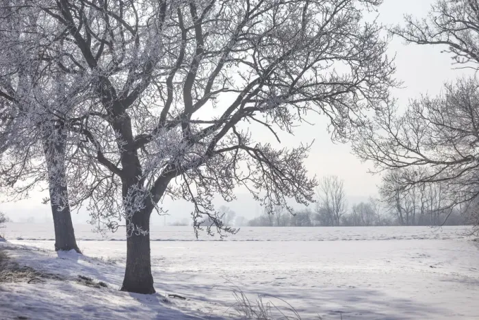 Framed Print : Winter landscape near Chieming am Chiemsee, Upper Bavaria, Bavaria, Germany Framed Print : Winter landscape near Chieming am Chiemsee, Upper Bavaria, Bavaria, Germany
