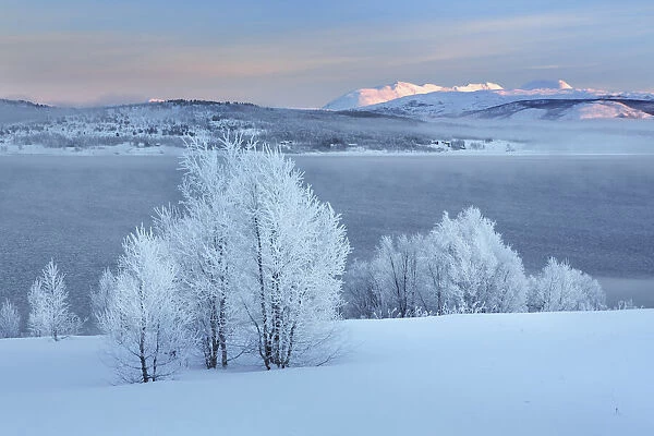Winter landscape near Lysnes on Senja - Norway, Troms, Senja, Lysnes