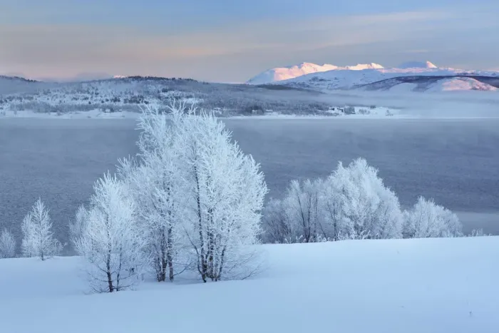 Framed Print : Winter landscape near Lysnes on Senja - Norway, Troms, Senja, Lysnes