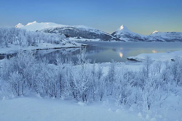 Winter landscape near Stoennesbotn on Senja - Norway, Troms, Senja, Stoennesbotn