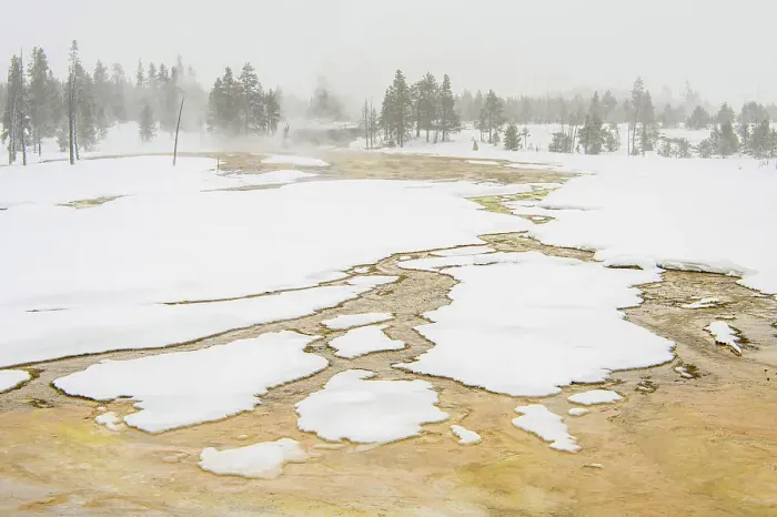 Framed Print : Winter landscape with open water of a thermal watercourse, Yellowstone National Park, Wyoming, USA Framed Print : Winter landscape with open water of a thermal watercourse, Yellowstone National Park, Wyoming, USA