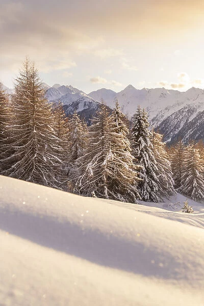 Winter landscape after snowfall in mountains. Trivigno, Aprica pass, Valtellina