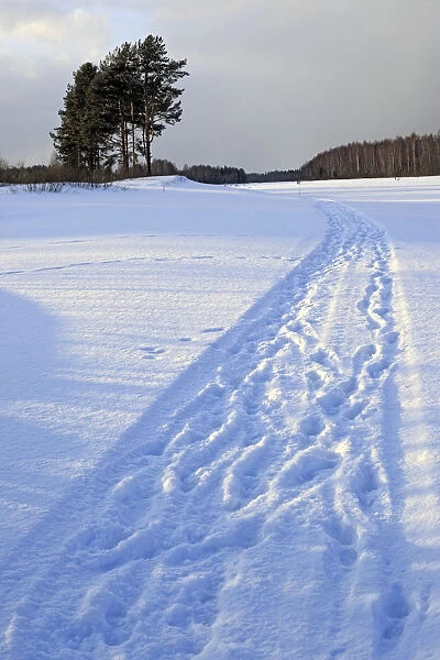 Winter landscape, Suda, Vologda region, Russia