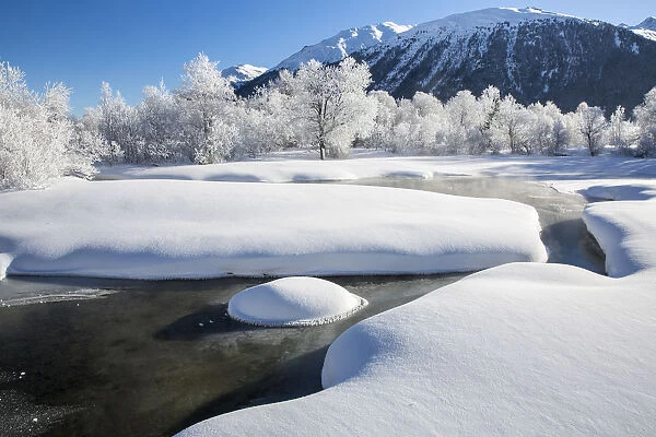 Winter landscape with trees covered in hoarfrost and frozen river. Celerina, Engadin