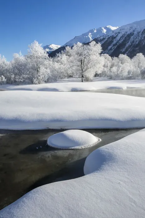 Framed Print : Winter landscape with trees covered in hoarfrost and frozen river. Celerina, Engadin Framed Print : Winter landscape with trees covered in hoarfrost and frozen river. Celerina, Engadin
