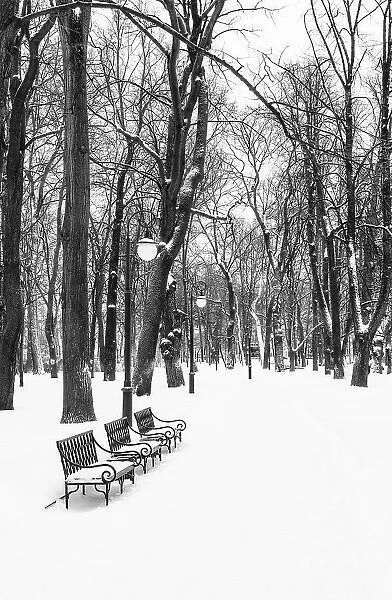 Winter in Mikhailovsky Garden (Mikhailovsky Sad), Saint Petersburg, Russia