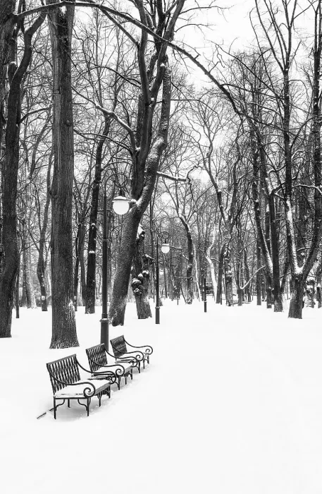 Framed Print : Winter in Mikhailovsky Garden (Mikhailovsky Sad), Saint Petersburg, Russia Framed Print : Winter in Mikhailovsky Garden (Mikhailovsky Sad), Saint Petersburg, Russia
