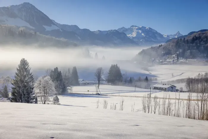 Framed Print : Winter morning mist near Berchtesgaden, Upper Bavaria, Bavaria, Germany