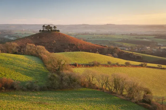 Framed Print : Winter morning sunshine on Colmers Hill near Symondsbury in Dorset, England. Winter (January) 2022 Framed Print : Winter morning sunshine on Colmers Hill near Symondsbury in Dorset, England. Winter (January) 2022