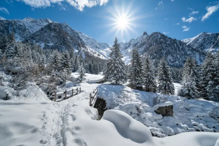 Framed Print : Winter mountain landscape with snowcapped trees and sunlight in backlight Framed Print : Winter mountain landscape with snowcapped trees and sunlight in backlight