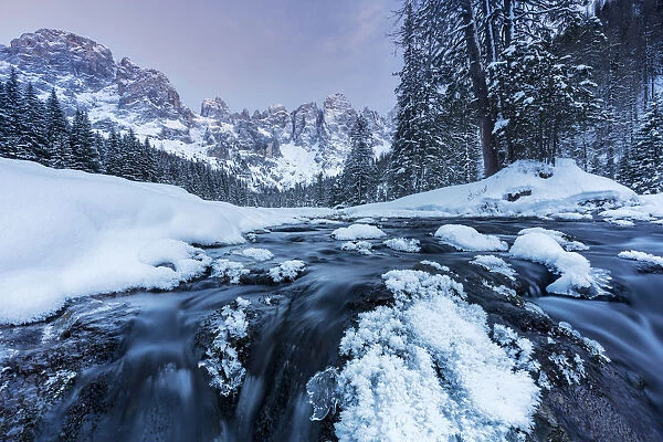 Winter in the naturpark of Paneveggio - Pale di San Martino, Venegia valley, Trentino
