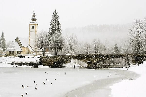 Winter scene in village in Slovenia