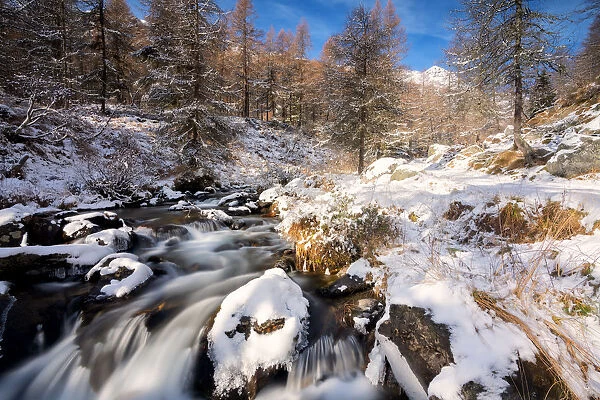 Winter season in Stelvio national park in Camonica valley, Lombardy district, Brescia